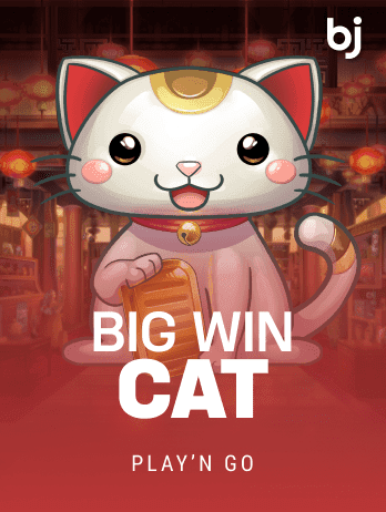Big Win Cat icon